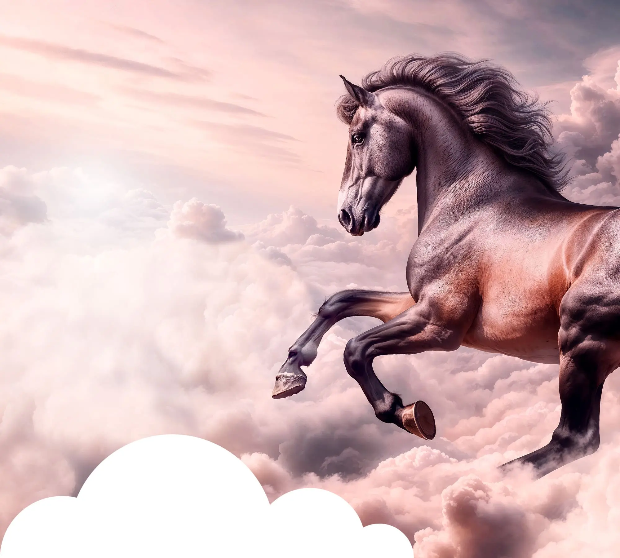 Horse Header